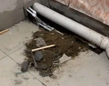 万宁卫生间漏水检测哪家好